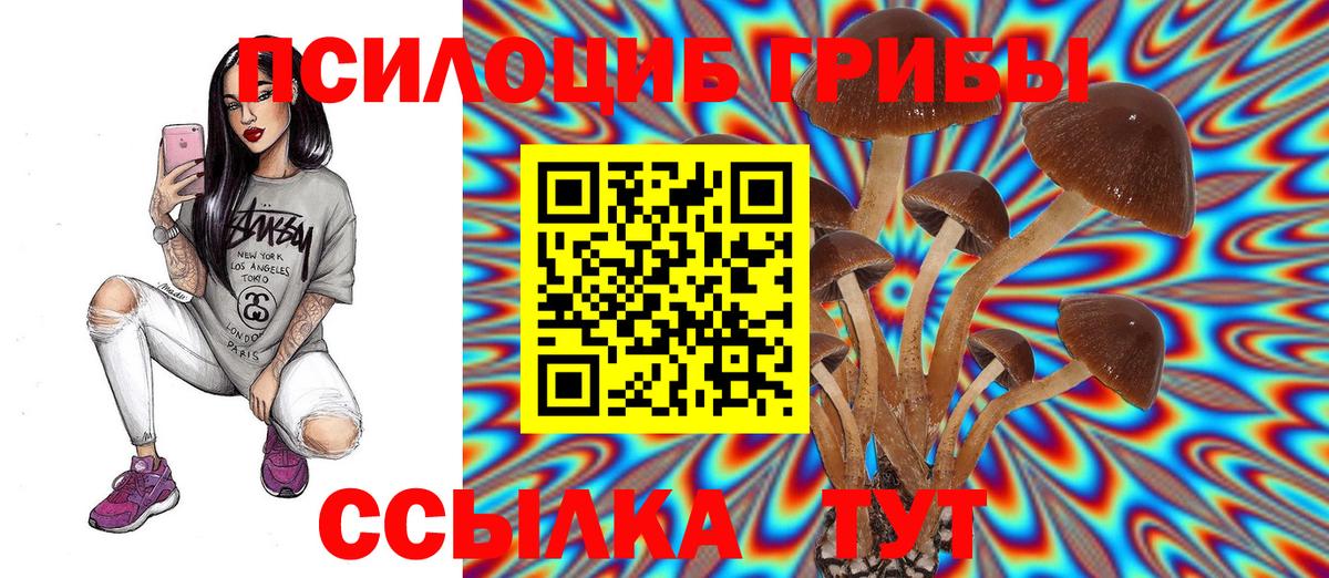 Ростов Великий  Псилоцибиновые грибы Magic Shrooms  Вход с VPN 